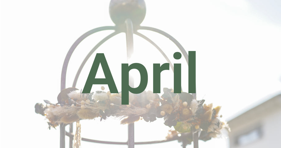 Consigli di giardinaggio per aprile