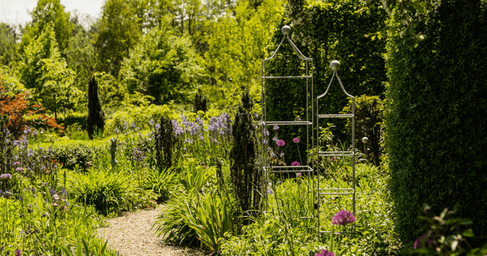 Tendenze del giardino 2023 – queste tendenze hanno un impatto duraturo sul giardino